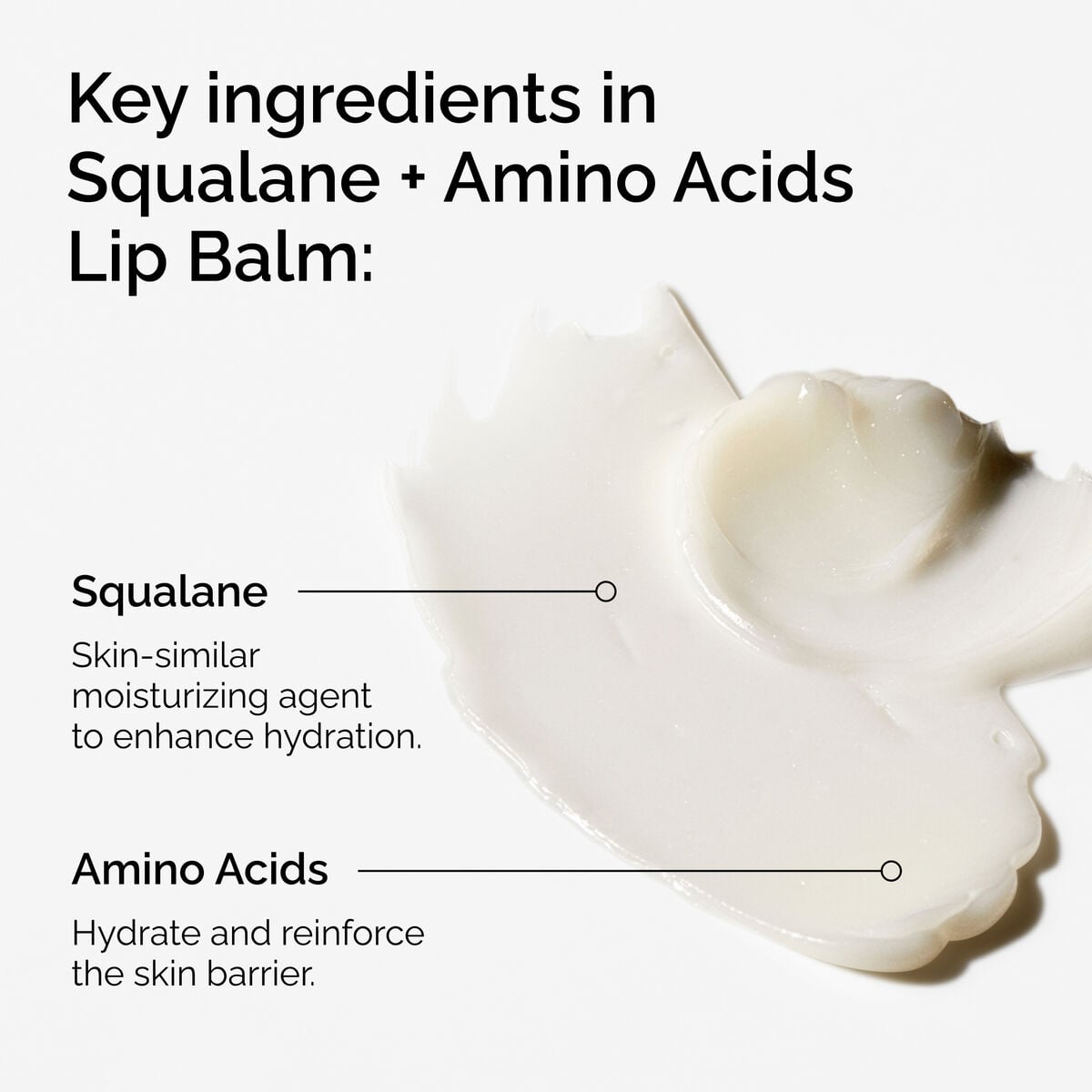 squalane-amino-acids-lip-balm-z8 FY25-D41247-ORD-Web-PDP-Sql-Amino-Lip-1x1-EN-2a.jpg