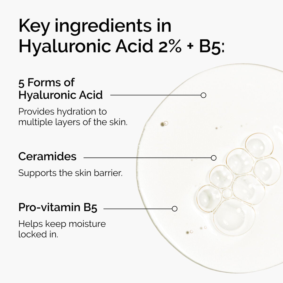 hyaluronic-acid-2-b5-with-ceramides-t6 ord-hyaluronic-acid-2pct-b5-hydrating-serum-ingredients-graphic.jpg
