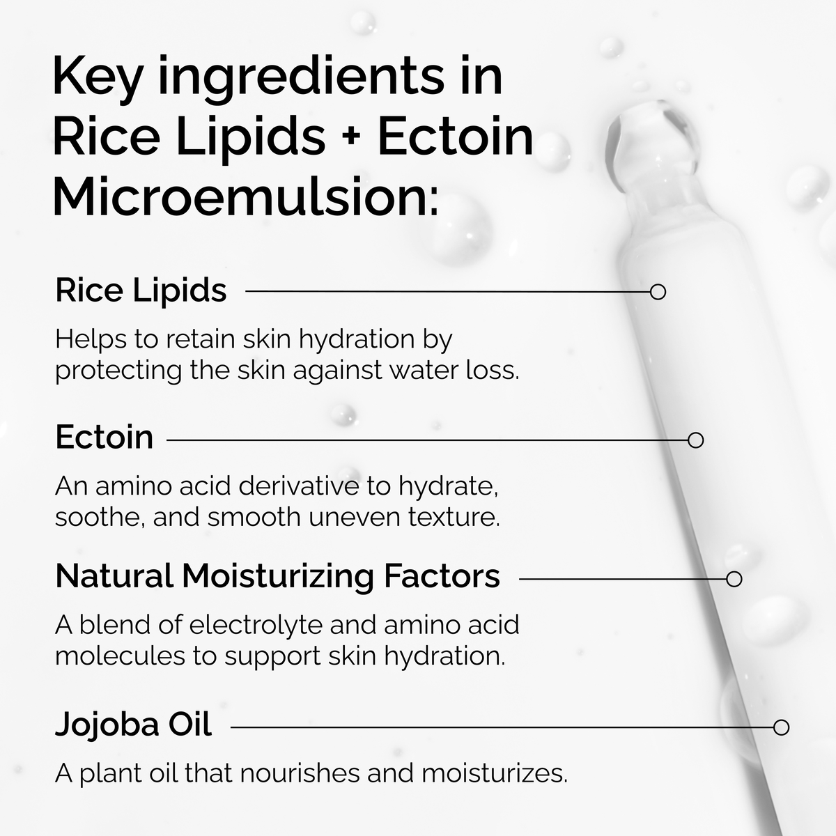 rice-lipids-ectoin-microemulsion-d0 ord-rice-lipids-ectoin-microemulsion-key-ingredients.png