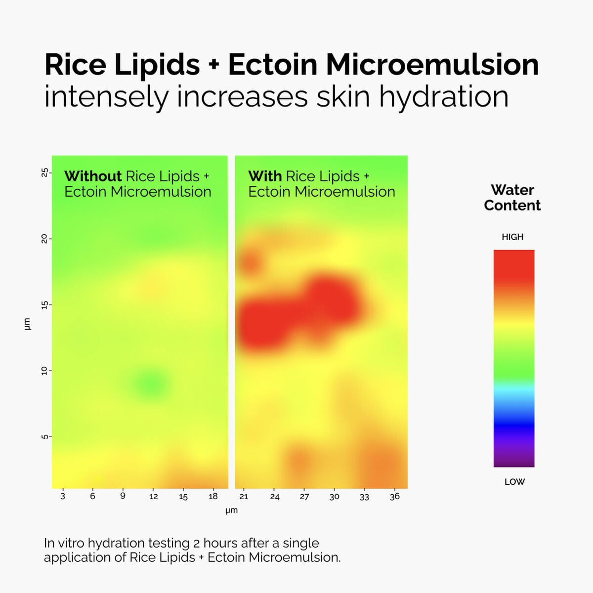rice-lipids-ectoin-microemulsion-d0 ord-rice-lipids-ectoin-microemulsion-thermal-before-after.jpg